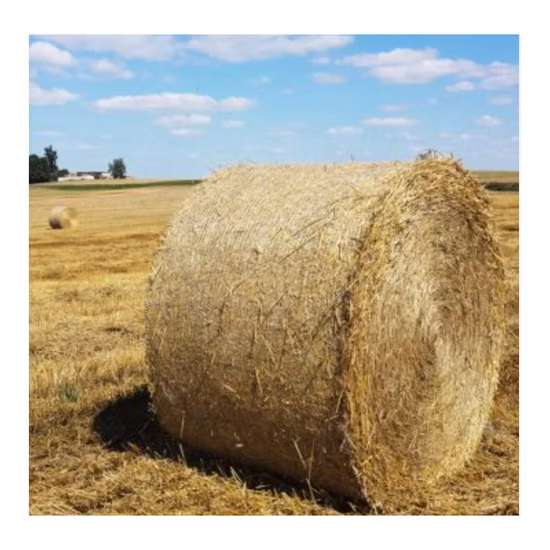 Bale Net Wrap Pallet Net Wrap